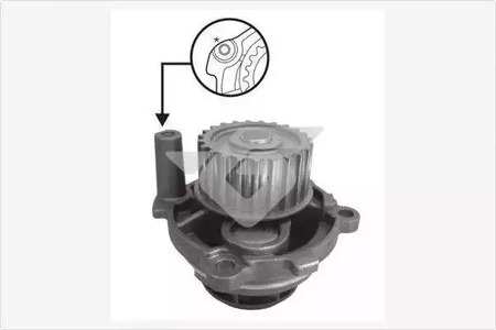 Насос - Hutchinson WP73