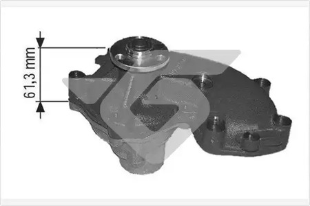 Насос - Hutchinson WP163