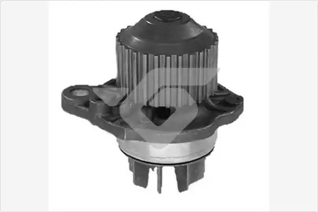 Насос - Hutchinson WP217
