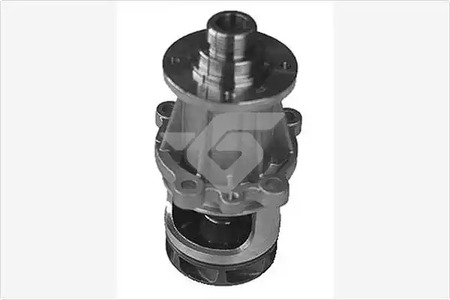 Насос - Hutchinson WP198