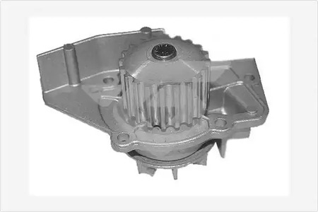 Насос - Hutchinson WP31