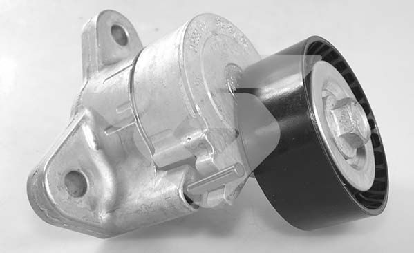Ролик - Hutchinson T0555