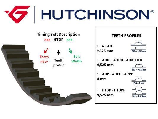 Ремень - Hutchinson 145 HTDP 25