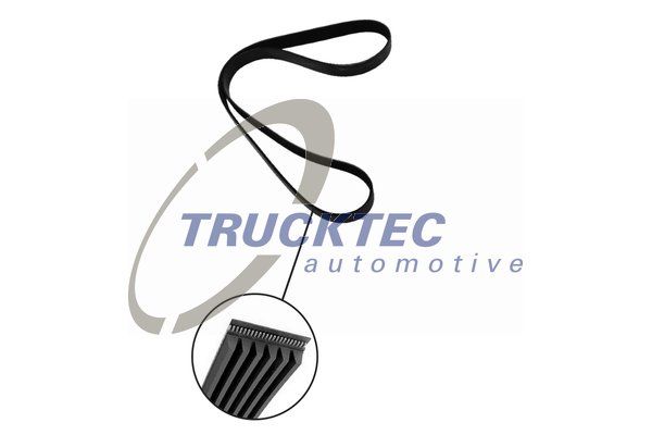 Ремень - Trucktec Automotive 08.19.261