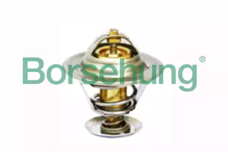 Термостат - Borsehung B18281