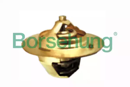 Термостат - Borsehung B18231