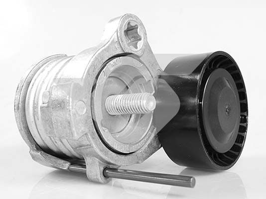 Ролик - Hutchinson T0558