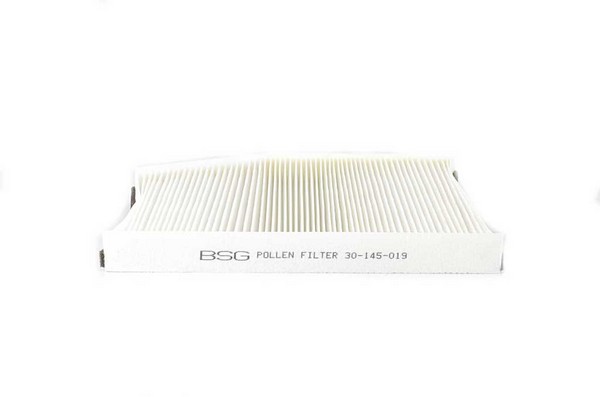 Фильтр кондиционера - BSG BSG 30-145-019