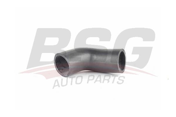 Шлангопровод  - BSG BSG 90-720-069