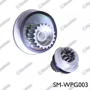 Насос - SpeedMate SM-WPG003