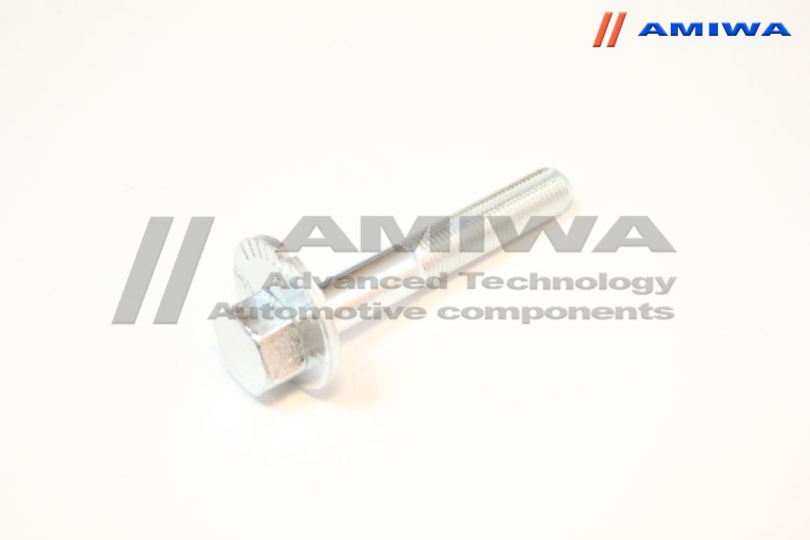 Болт с эксцентриком - Amiwa 01-05-2272