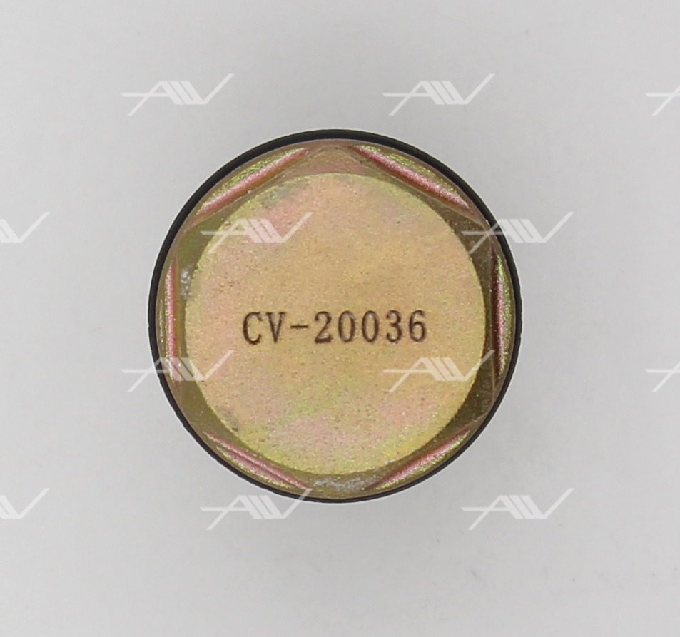 Cv-20036 клапан регулировки давления nissan/renault (f00r000741, 1110010017) - AUTOWELT CV20036