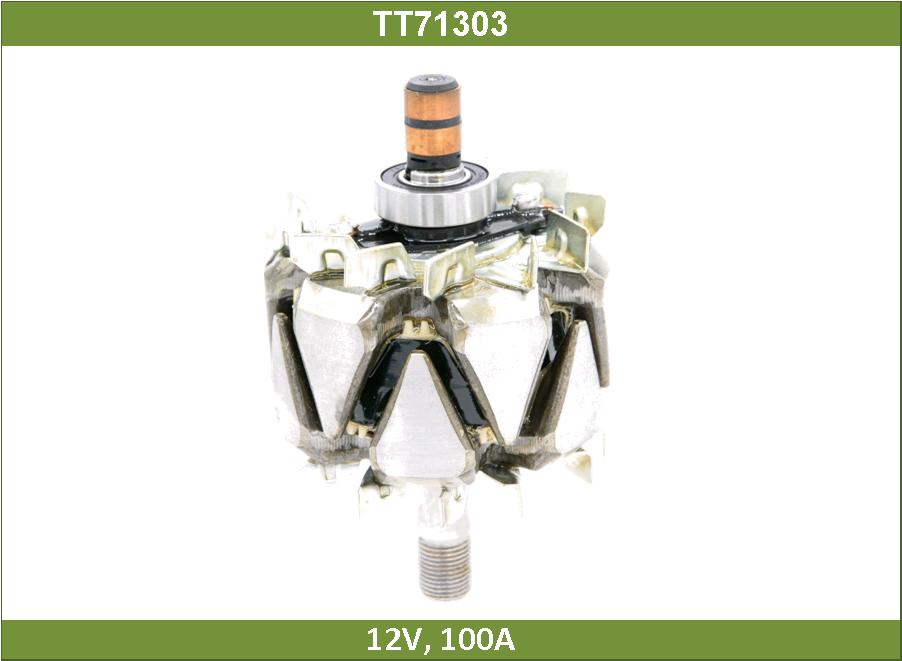 Ротор генератора - Tesla TT71303