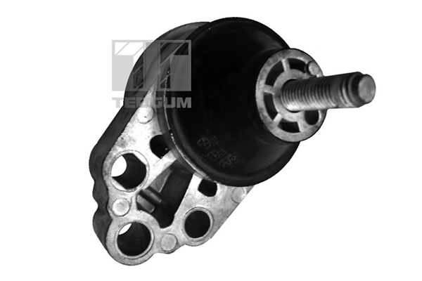 Подушка ДВС правая - TEDGUM 00226305
