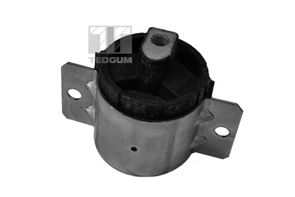 Подушка КПП - TEDGUM 00416330