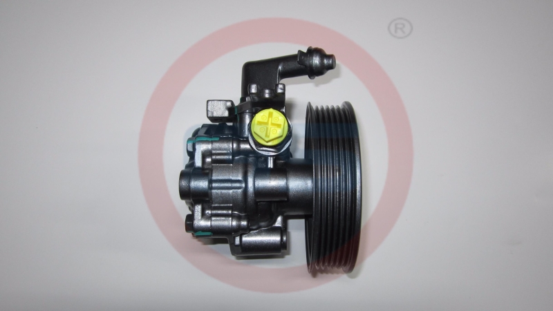 Насос ГУР Hyundai Tucson 2004-2008,kia Sportage 2004-2010,kia Cerato 2006-2008,kia Cerato 2004-2008,kia Cerato 2008-,kia Cerato/Forte 08my 2008-2013 rebuild - GS HP17010