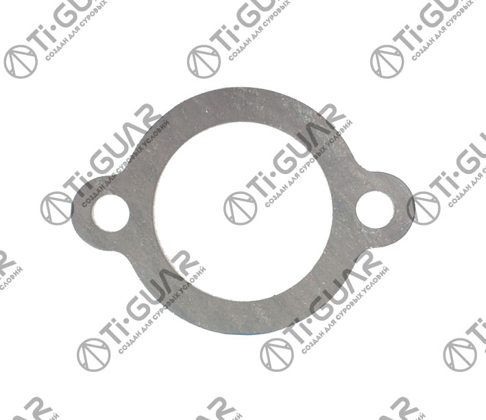Прокладка термостата - Ti-Guar TG-17569-82001-H17