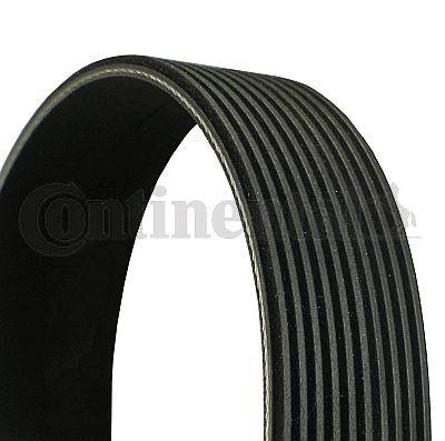 Belt - CONTINENTAL CTAM 10PK1447