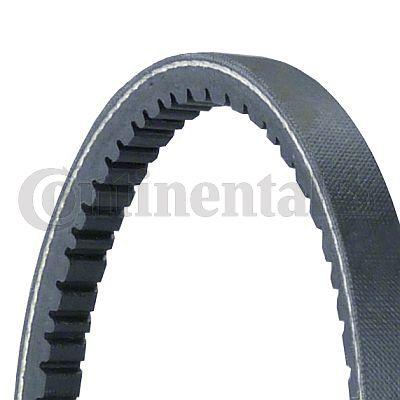 Belt - CONTINENTAL CTAM 11,0X528Ld