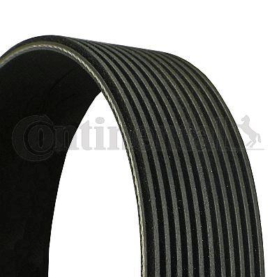 Belt - CONTINENTAL CTAM 11PK2835