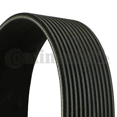 Belt - CONTINENTAL CTAM 12PK1815