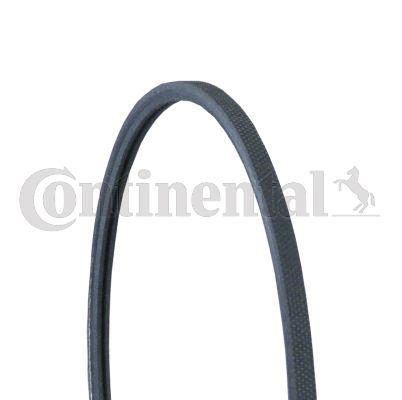 Belt - CONTINENTAL CTAM 2PJ838