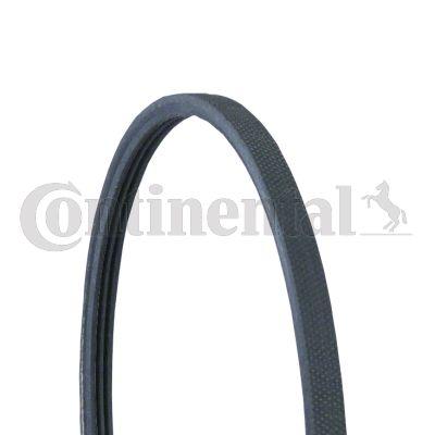 Belt - CONTINENTAL CTAM 3PJ891