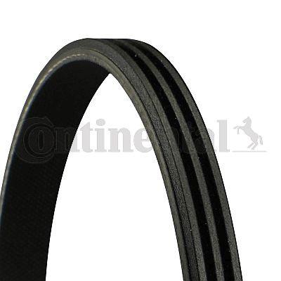 Belt - CONTINENTAL CTAM 3PK675