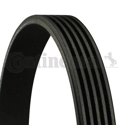 Belt - CONTINENTAL CTAM 5PK1110