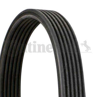 Belt - CONTINENTAL CTAM 6DPK1195