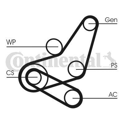 Ремень поликлиновый - CONTINENTAL CTAM 6PK1059 ELAST T2