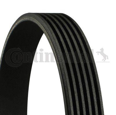 Belt - CONTINENTAL CTAM 6PK1590