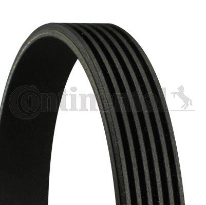 Belt - CONTINENTAL CTAM 6PK2120