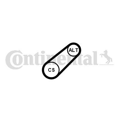Belt - CONTINENTAL CTAM 6PK701 ELAST