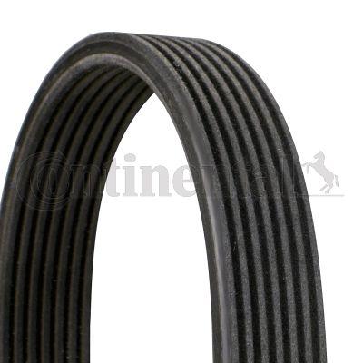 Belt - CONTINENTAL CTAM 7DPK2074