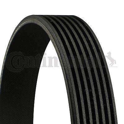 Belt - CONTINENTAL CTAM 7PK1795