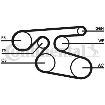 Belt - CONTINENTAL CTAM 7PK2000