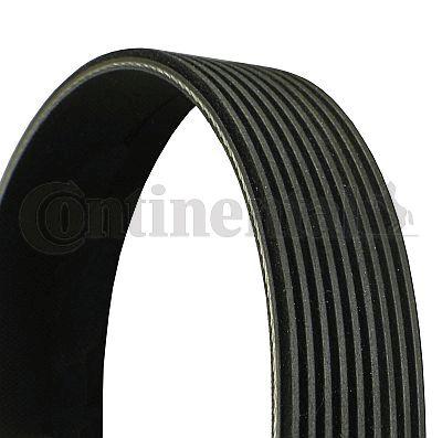 Belt - CONTINENTAL CTAM 9PK2835