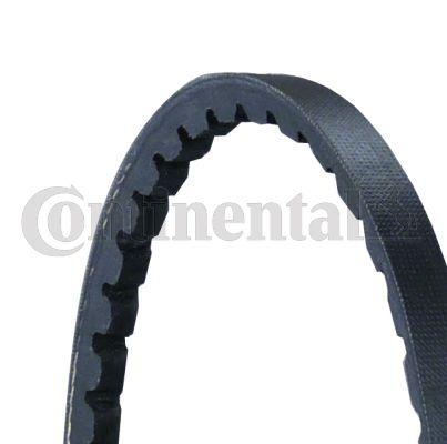 Belt - CONTINENTAL CTAM AVX10X980