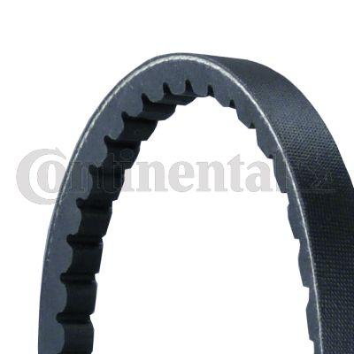 Belt - CONTINENTAL CTAM AVX13X825