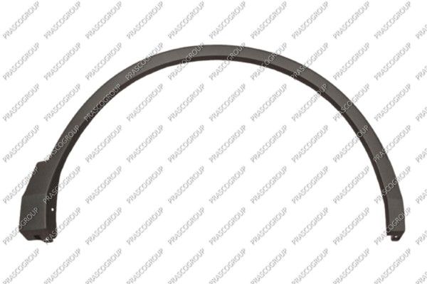 Trim/Protective Strip | прав | - Prasco VG8101581