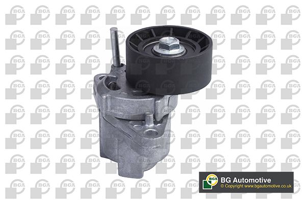 Tensioner Arm  - BGA DC7307