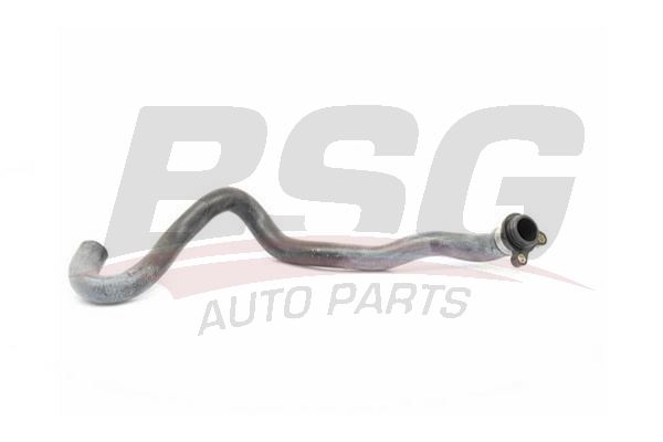 Hose Line - BSG BSG 15-720-065