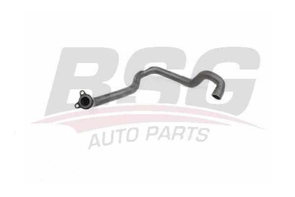 Hose Line - BSG BSG 15-720-067
