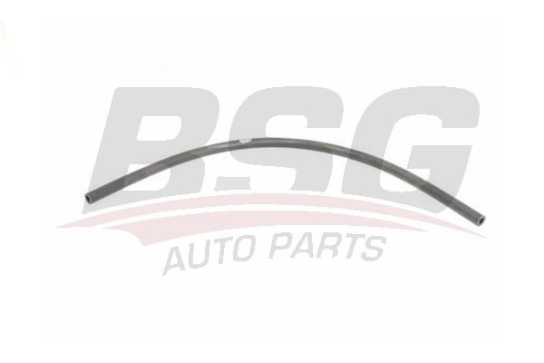 Hose Line - BSG BSG 15-720-070