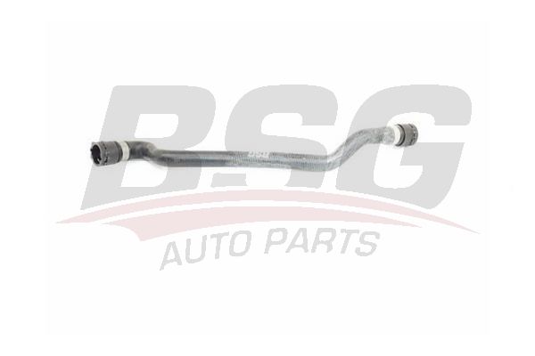 Hose Line - BSG BSG 15-720-074