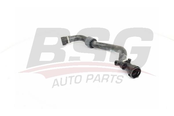 Hose Line - BSG BSG 15-720-083