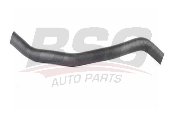 Hose Line - BSG BSG 16-720-010