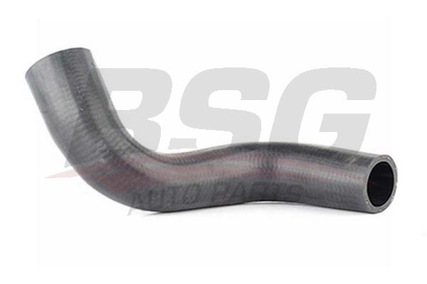 Hose Line - BSG BSG 16-720-015
