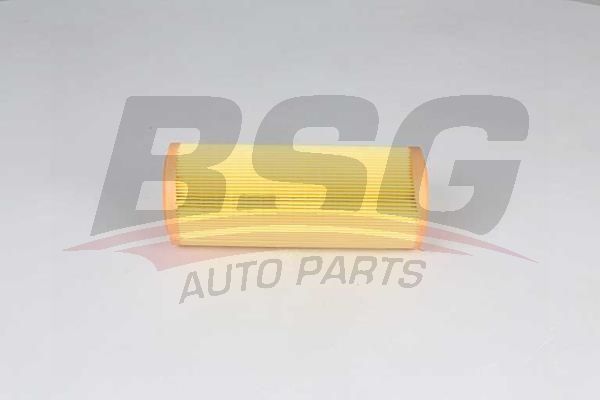 Filter - BSG BSG 25-135-004